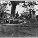 Wounded soldiers convalesce under shelter of the Brompton Oak in May 1864. This famous photo is in the collection of the Library of Congress.