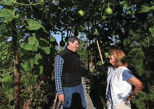 Emmett and Ellen Snead, shown here on their Caroline County farm, are leaders in the Virginia "locavore” movement.